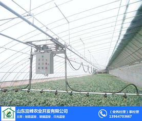 日光溫室骨架在現(xiàn)代化農(nóng)業(yè)中的關(guān)鍵作用——以富峰農(nóng)業(yè)為例