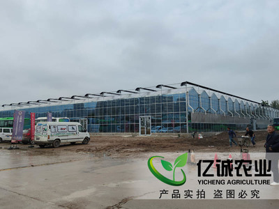 科技賦能農(nóng)業(yè)新篇章 探秘陜西西安巨坤花卉智能玻璃溫室